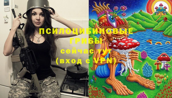 трава Сосновый Бор