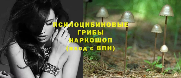 спиды Зерноград